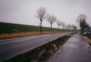 1995 (7).jpg
