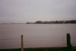 1995 (8).jpg